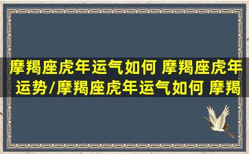 摩羯座虎年运气如何 摩羯座虎年运势/摩羯座虎年运气如何 摩羯座虎年运势-我的网站